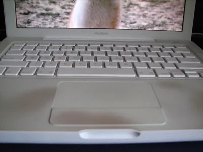 Dirty Palmrest of the white MacBook